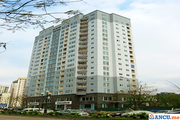 Chính chủ bán căn hộ CC 110m2 ở tòa CIENCO1, Hoàng Đạo Thúy