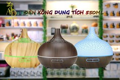 Ánh Dương Store gợi ý những combo tinh dầu giúp kháng khuẩn, thanh lọc không khí, cải thiện sức khỏe...