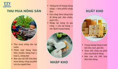 Phần mềm quản lý kho nông sản 