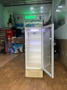 Biên Hòa Đồng Nai thanh lý tủ lạnh LG 185LIT ga block zin 