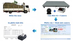 Cách quản lý thu mua nông sản bằng cân điện tử, hình ảnh camera 