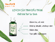 Cách Dùng Tinh Dầu Tràm An Toàn Cho Trẻ Sơ Sinh   Tìm Hiểu Tại Vinatuoi 