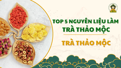 Top 5 Nguyên Liệu Làm Trà Thảo Mộc Tự Nhiên Tốt Cho Sức Khỏe 