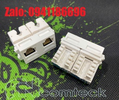 Bộ chuyển đổi RJ45 2 cổng CAT6 CAT6 T568A/8 LAN Ethernet dành cho mặt nạ âm tường âm sàn 