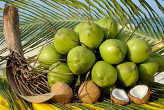 Dừa sấy giòn món ăn vặt béo thơm, giòn rụm từ cơm dừa Bến Tre 