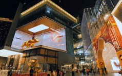 Màn hình LED 3D ngoài trời   Giá tốt nhất   PEI 