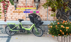 Xe đạp điện trợ lực Nhật : Bridgetone 