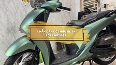 7 Mẫu Dán Đổi Màu Xe SH 2025 Hot Trend Được Yêu Thích Nhất 