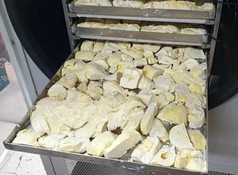 Ứng dụng công nghệ sấy thăng hoa trong chế biến sầu riêng sấy khô đạt chất lượng cao  Ứng dụng công nghệ sấy thăng hoa trong chế biến sầu riêng sấy khô đạt chất lượng cao