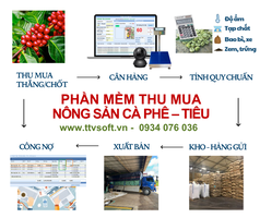 Quản lý tính quy chuẩn, thu mua Cafe, Hồ Tiêu 