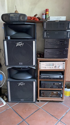 Đôi Loa Peavey SP2A Mỹ 