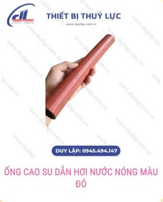 Ống dẫn hơi nước nóng Steam Hose tại Duy Lập 