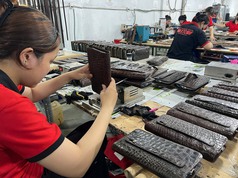 Hàng đẹp giá sĩ   có vat 