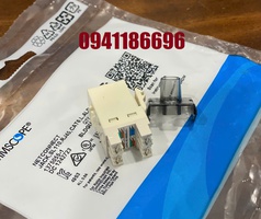 Phân phối Nhân mạng Cat6 UTP Commscope 1375055-1 MODULAR JACK 
