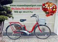 Xe đạp điện trợ lực: Pas Natura 