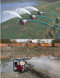 Máy bơm nước phi 80 WP30XT giá rẻ mua ở đây 