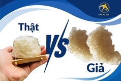 Cách phân biệt yến thô thật và giả đơn giản 