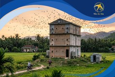 1 Tai Yến Chưng Bao Nhiêu Nước Là Chuẩn  Cách Chưng Yến Đúng Cách 