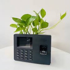 Máy chấm công vân tay ZKTECO W666 Plus 