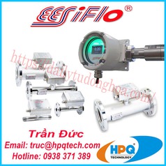 Cảm biến mức EESIFLO   Đồng hồ đo lưu lượng Eesiflo 