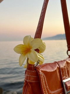 6 Bí Quyết Dùng Kẹp Tóc Hoa Tuna Aesthetic Để Luôn Nổi Bật. 