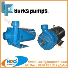 Bơm ly tâm Burks Pump   Burks Pump centrifugal pumps 