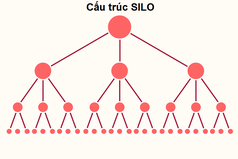 Hướng Dẫn Thiết Kế Cấu Trúc Silo Giúp Website Tăng Traffic 