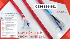 Cáp chống cháy chống nhiễu 2 lõi  Có Sẵn TP.HCM, Bình Dương và Đồng Nai. 