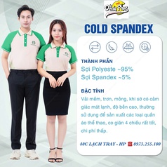 Đồng Phục Doanh Nghiệp Hải Phòng 