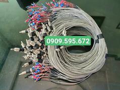 Điện trở - Dây dò nhiệt PT, J, K giá rẻ 