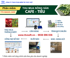 Phần mềm thu mua cà phê   tiêu TTV 