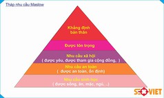 Cách Áp Dụng Tháp Nhu Cầu Maslow Để Hiểu Tâm Lý Khách Hàng 