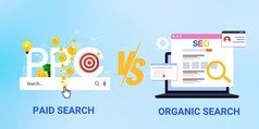 Organic Search Là Gì  Hướng Dẫn Tối Ưu Cho Người Mới Bắt Đầu 