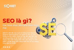 SEO Là Gì  Học SEO Từ Cơ Bản Đến Nâng Cao Trong Một Bài 