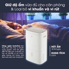 Máy hút ẩm Electrolux EDH10TRBW1 