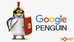 Thuật Toán Penguin Là Gì  Ví Dụ Thực Tế Và Kinh Nghiệm Xử Lý 