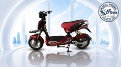 Xe Đạp Điện Mini   Top 5 Mẫu Xe Nhỏ Gọn Đáng Mua Nhất Năm 2026 