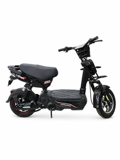Xe đạp điện giá bao nhiêu 