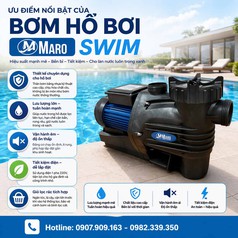Phân loại Máy Bơm Hồ Bơi: Giải Pháp Tối Ưu cho Công Trình Của Bạn 