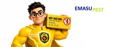 Diệt mối-diệt chuột-diệt muỗi và kiểm soát côn trùng toàn diện Hà Nội 