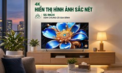 Google Tivi qled TCL 55t6d,  65t6d,  75t6d 