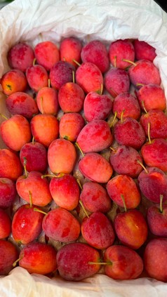 Kho lạnh bảo quản hoa quả, trái cây 