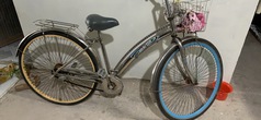 Bán xe đạp martin khung inox giá rẻ 