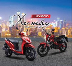 Like 50 - xe tay ga 50cc chính hãng giá tốt cho người chưa có bằng lái 