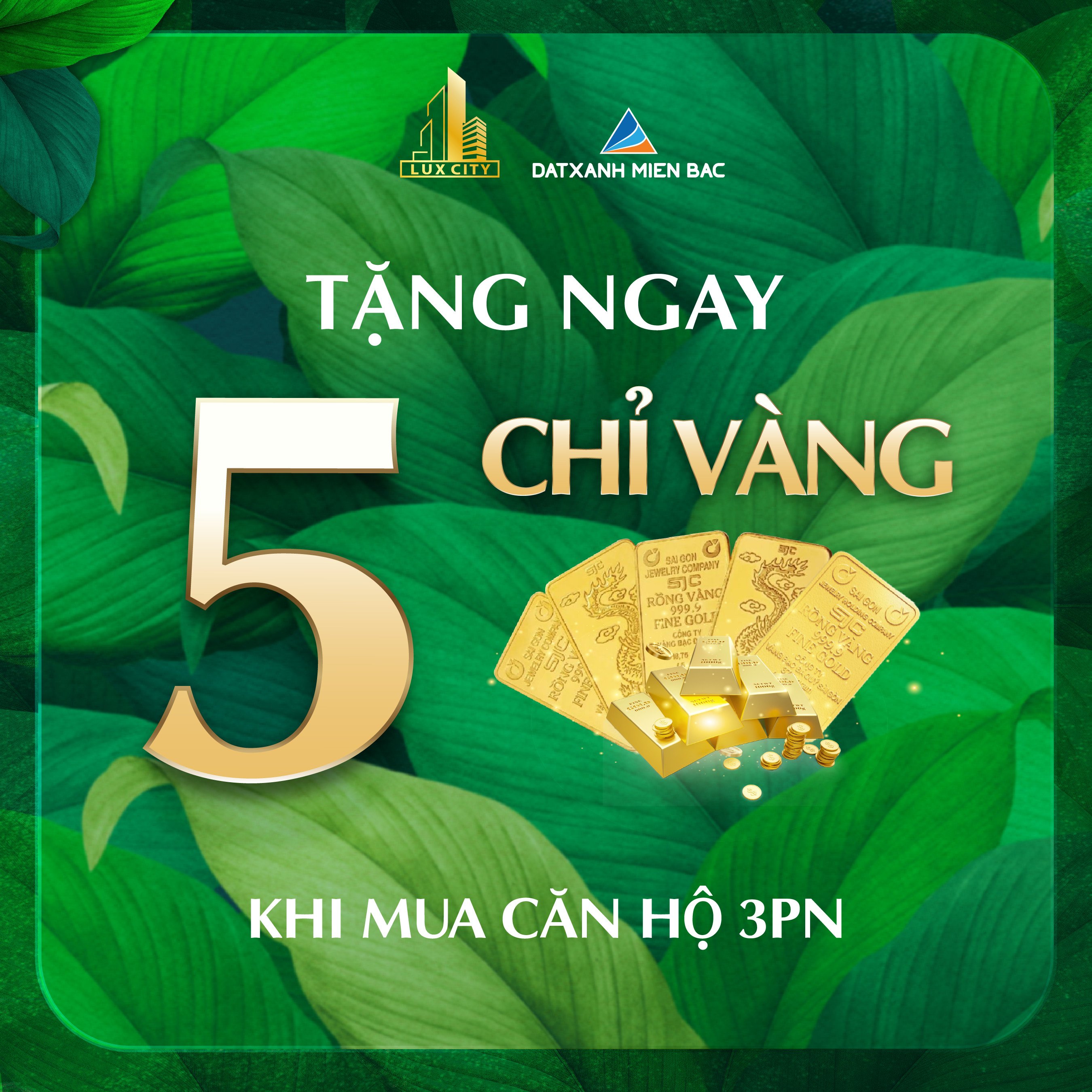 3 Sở hữu căn hộ HÀNG HIỆU tại căn hộ Hoàng Gia Luxcity Cẩm Phả nhanh như chớp