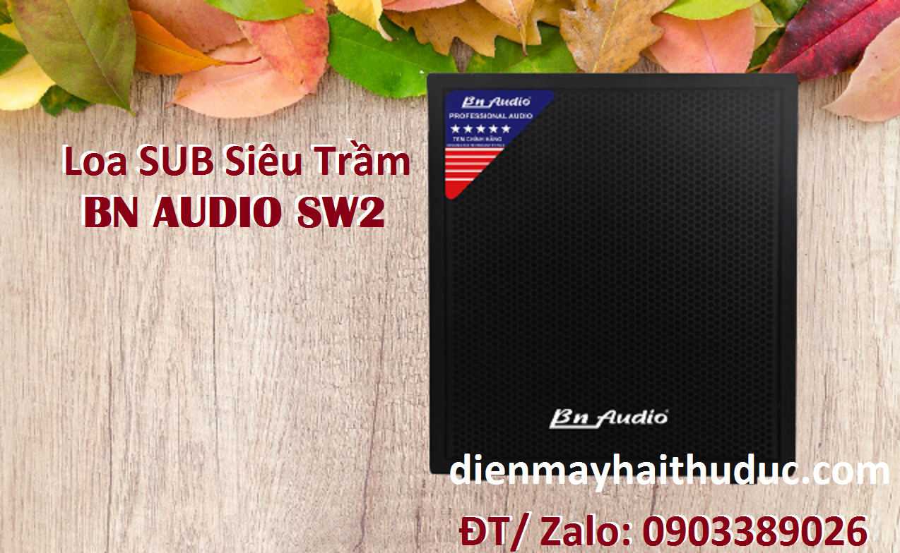 1 Loa Sub siêu trầm BN Audio SW2 công suất đỉnh 500Watt