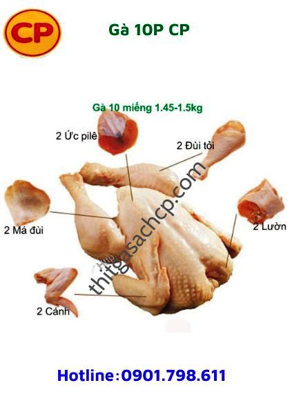 11 Cung cấp thịt gà tươi CP