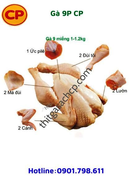 10 Cung cấp thịt gà tươi CP