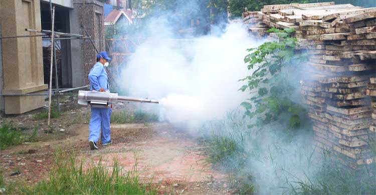 Dịch vụ diệt muỗi tại Long An - Diệt muỗi tận gốc tại nhà giá rẻ