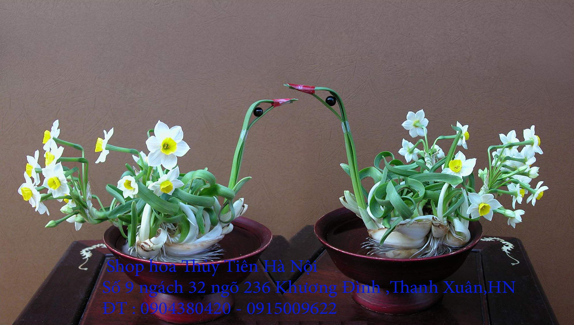 7 Bán hoa Thủy Tiên gọt trổ , tạo dáng nghệ thuật đón năm mới Quý Mão 2023